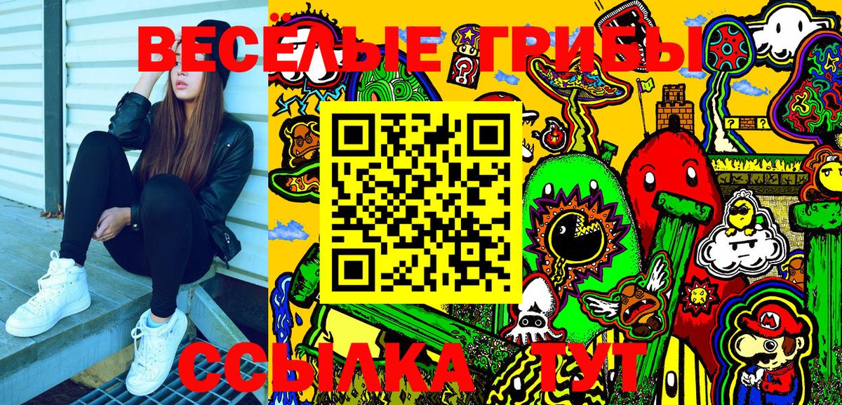 Галлюциногенные грибы GOLDEN TEACHER  Вход с VPN  Галлюциногенные грибы Psilocybe  Городец 